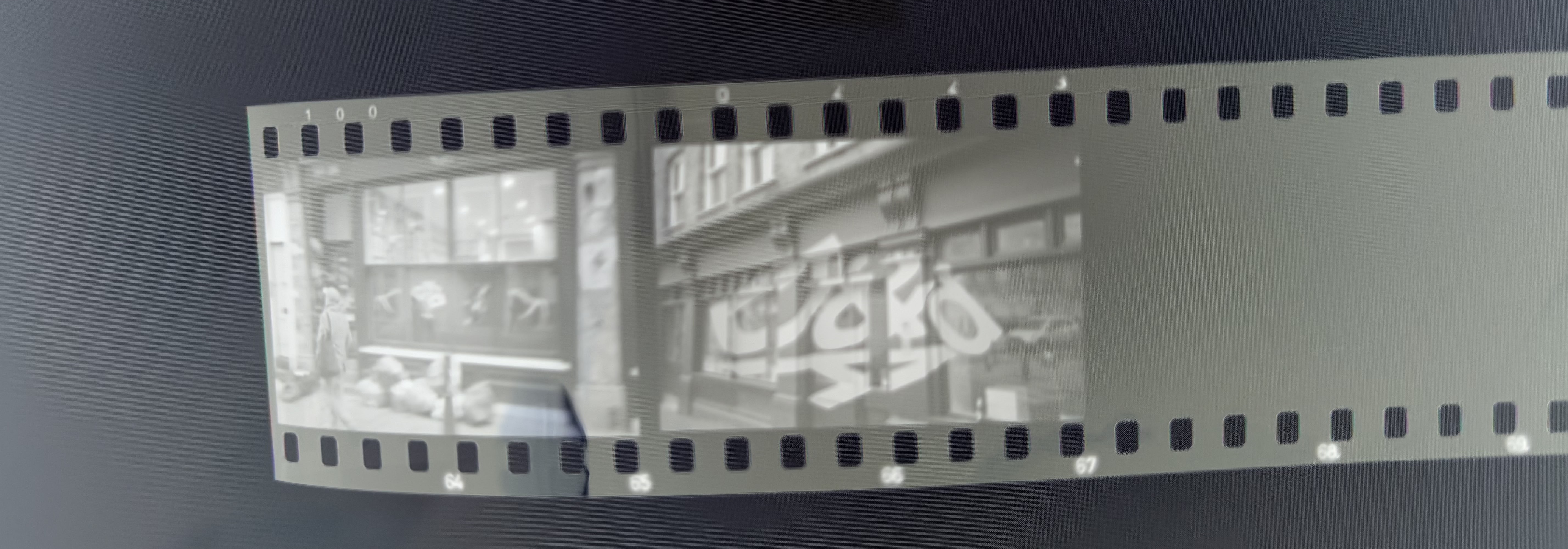 Film photograph 3